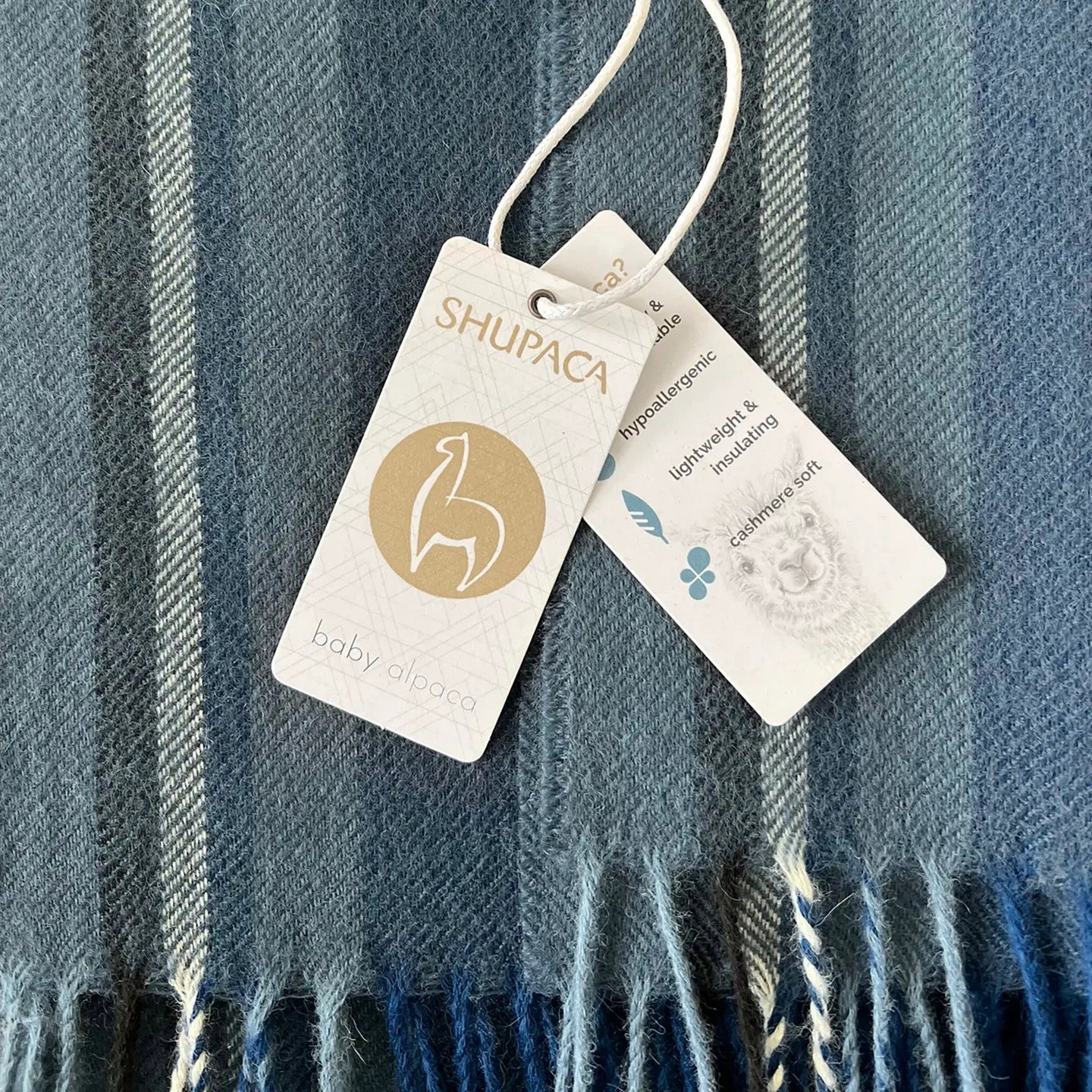 Scarf--Alpaca (Baby), Striped, 4 Colorways (Shupaca Alpaca)