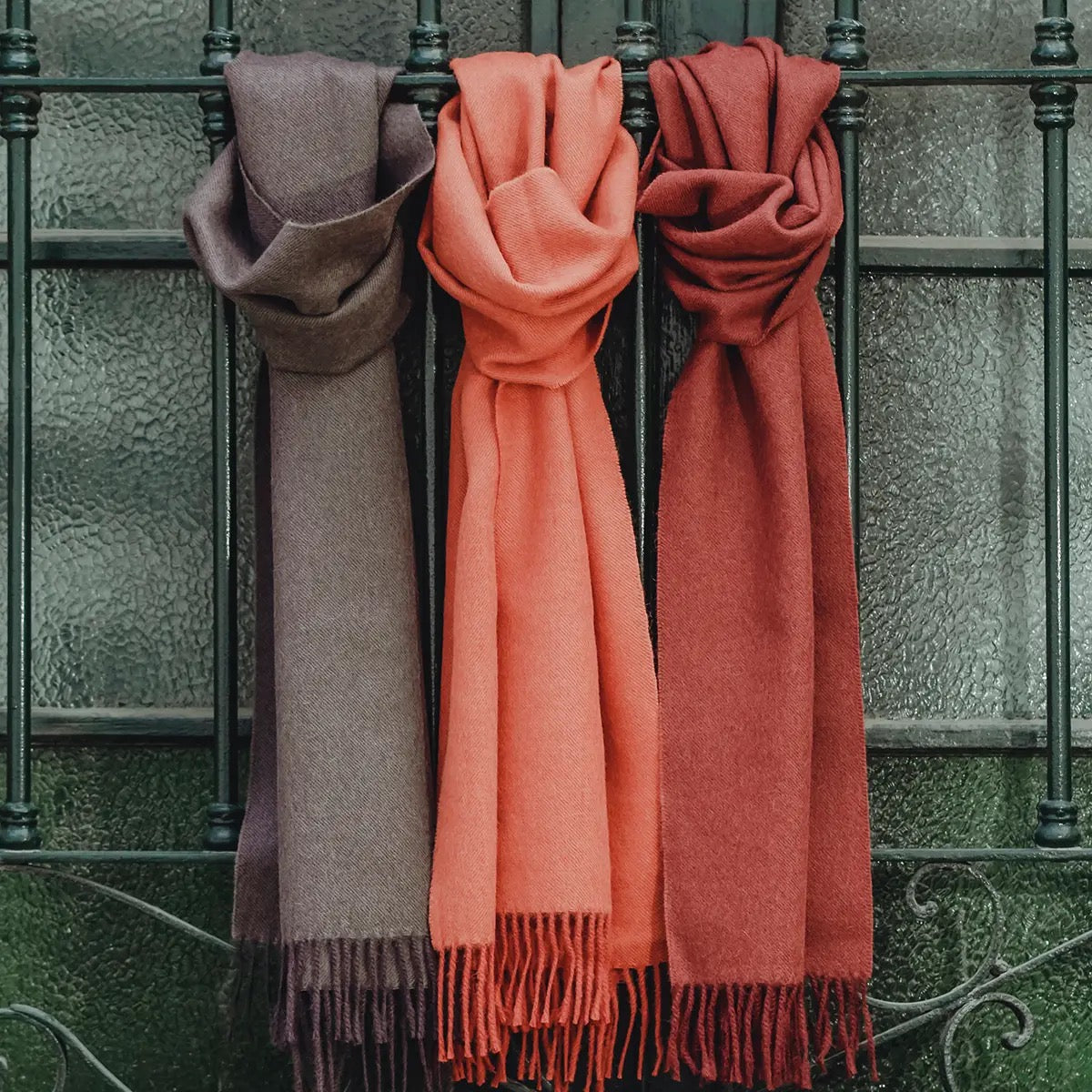 Scarf--Alpaca (Baby), Solid, 4 Colors (Shupaca Alpaca)