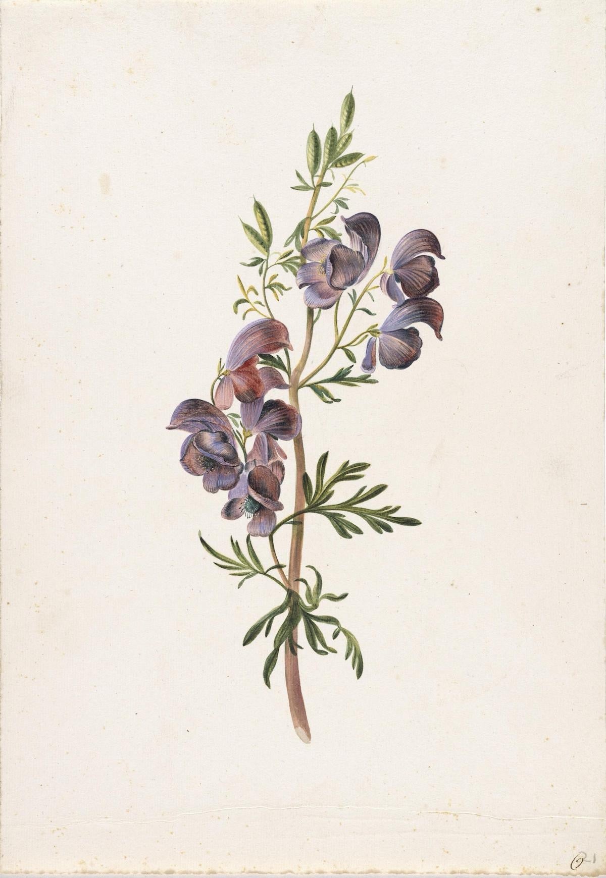 Note Cards--Floral Masterworks, Many Kinds (Art Herstory)