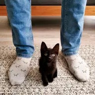 Socks--"Save Cats", Crew OR Ankle (Conscious Steps)